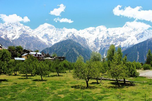 Kinnaur-Kalpa-Tour
